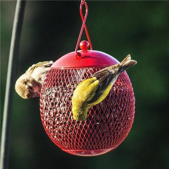 Set of 3 Squirrel Proof Bird Feeders for Outside - Bonus Ebook & Bird Attraction - Picture 4 of 6